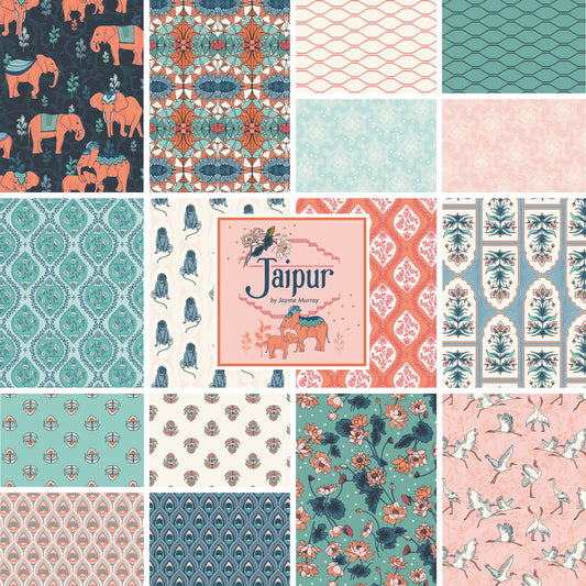 Jaipur by Jayme Murray